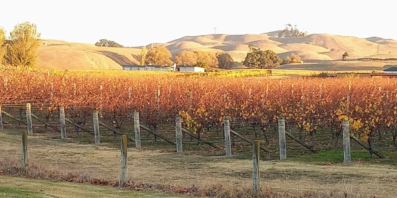 Birds Eyes Te Awanga Bed & Breakfast エクステリア 写真